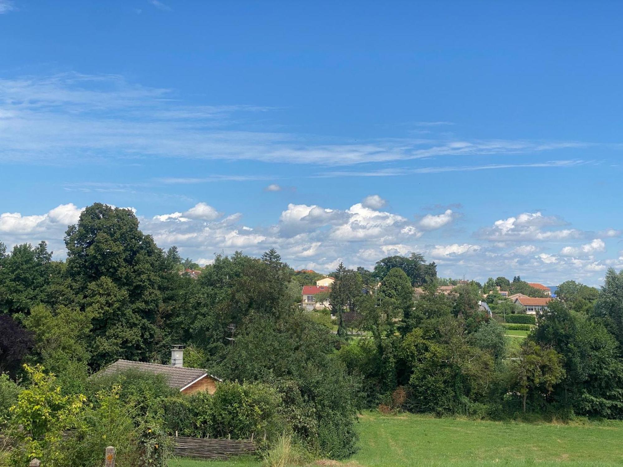 Les Chanterelles Crêches-sur-Saône Extérieur photo